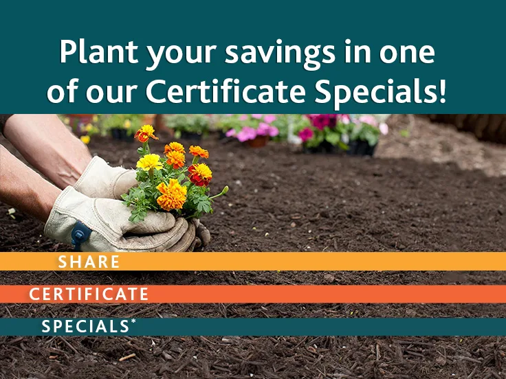 spring share certificate special offers