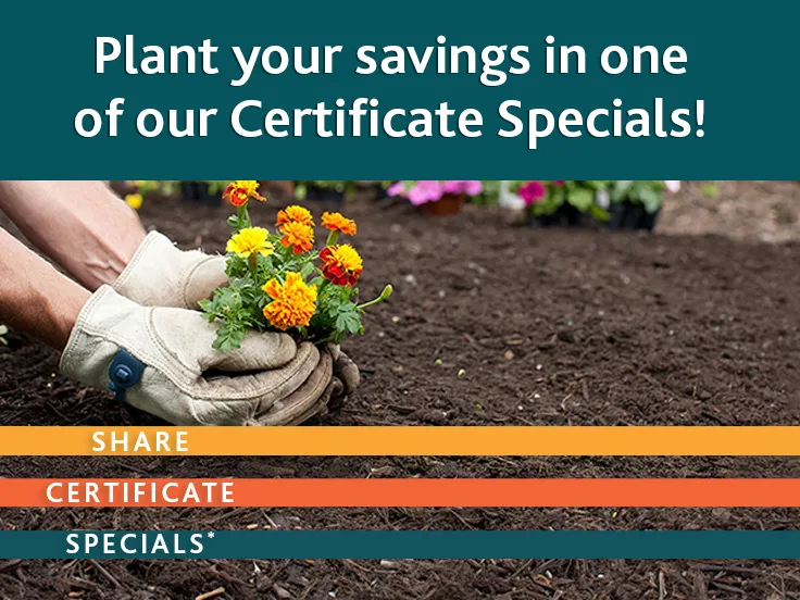 spring share certificate special offers