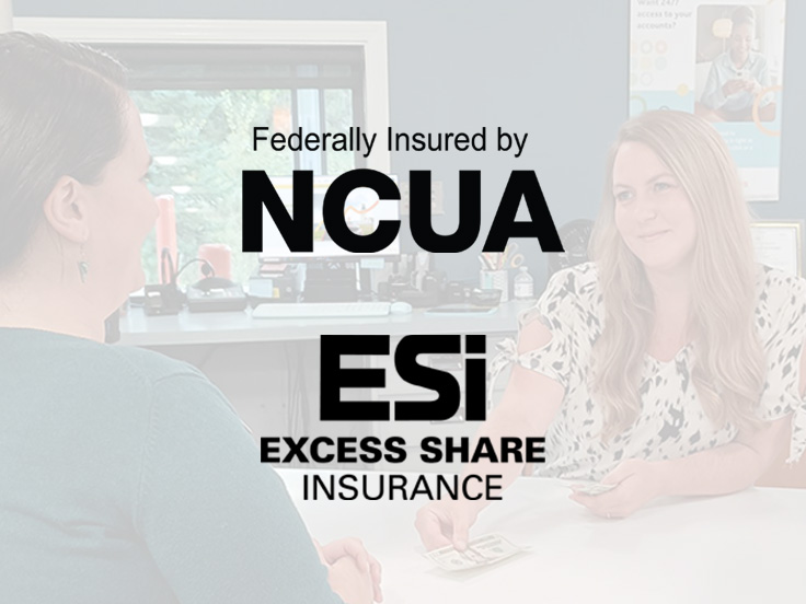Share Insurance 