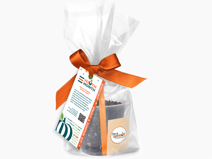 Youth Month-Pumpkin planting sprout