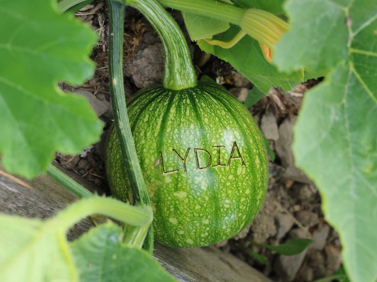 Pumpkin Tattoo